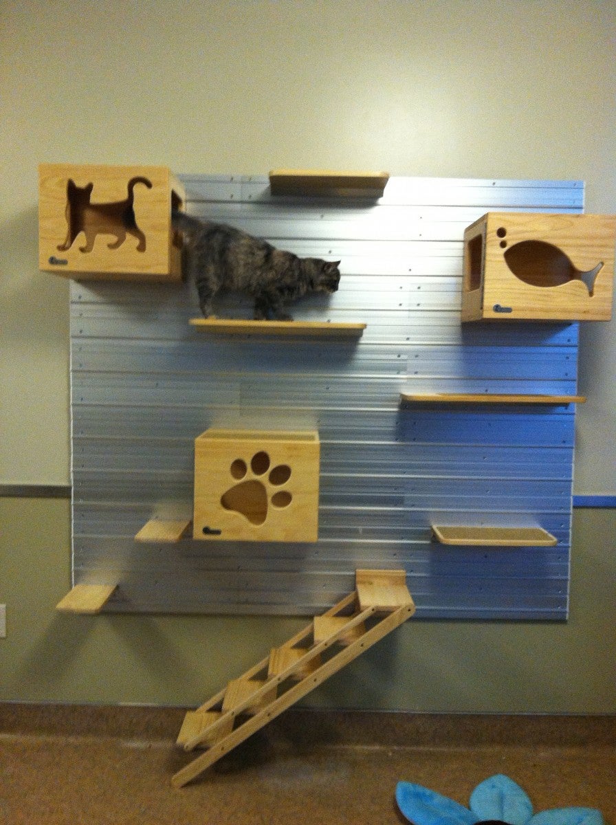 Higher Ground 3 Ways to Create Vertical Space for Cats ASPCApro